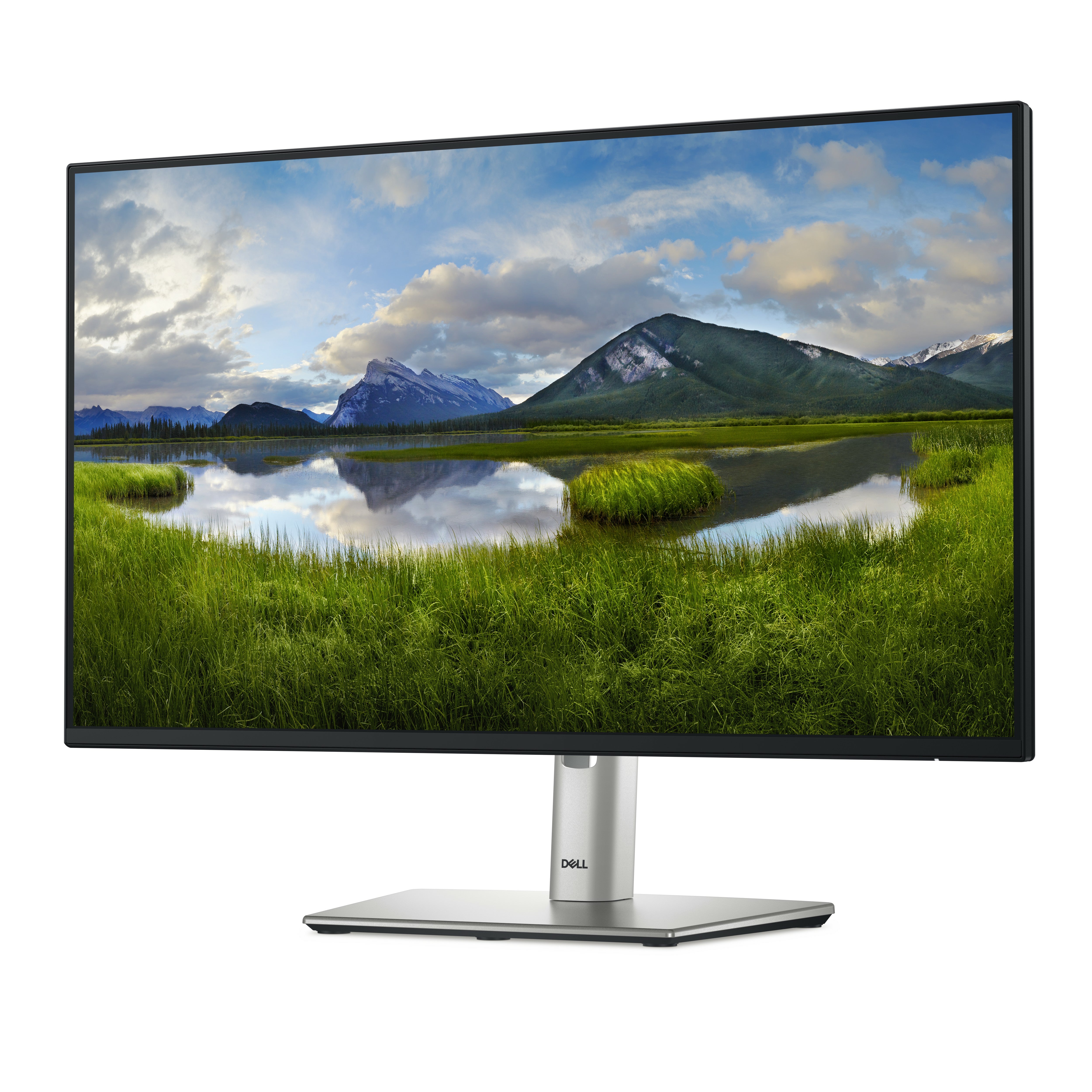 P2425HE - 24 inch - Full HD IPS LED Monitor - 1920x1080 - Pivot / HAS / RJ45 / USB-C DELL-P2425HE