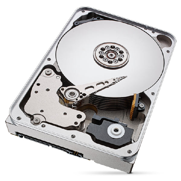 Seagate IronWolf Pro ST12000NT001 interne harde schijf 12 TB 7200 RPM 256 MB 3.5" SATA III ST12000NT001