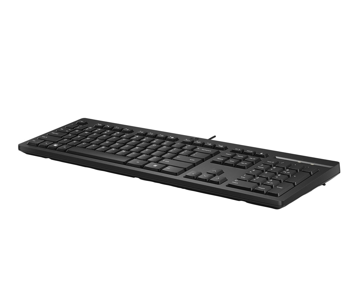 HP 125 toetsenbord met kabel QWERTY Deens 266C9AA#ABY - Compridis