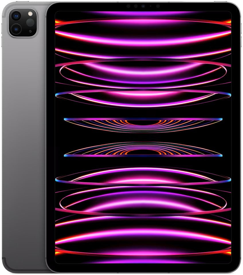 APPLE iPad Pro 11" (2022) Wi-Fi 8 Go 128 Go (gris sidéral) MNXD3FD/A