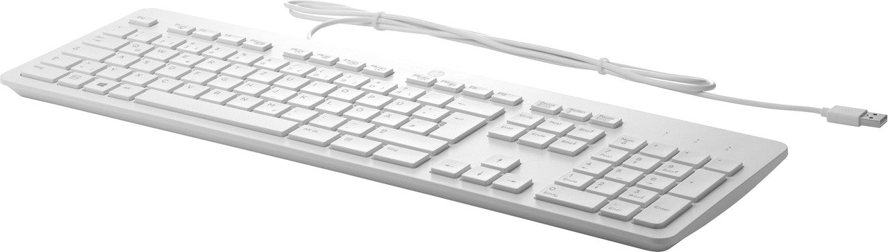 HP USB Business Slim Grey Kb I QWERTY US int 911503-L31
