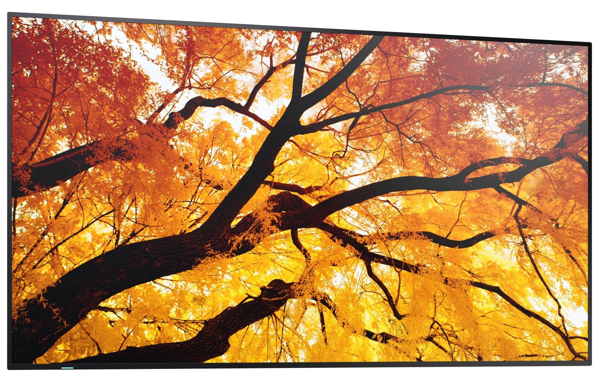 Sharp MultiSync M552 Digitale signage flatscreen 139,7 cm (55") LCD 550 cd/m² 4K Ultra HD Zwart Touchscreen PN - M552 - Compridis