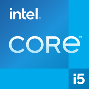 Dell Pro Micro QCM1250 i5-14500T 16GB 512GB SSD Noir