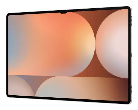 Samsung Galaxy Tab S10 Ultra (14,6", Wi-Fi) SM-X920NZSREUB