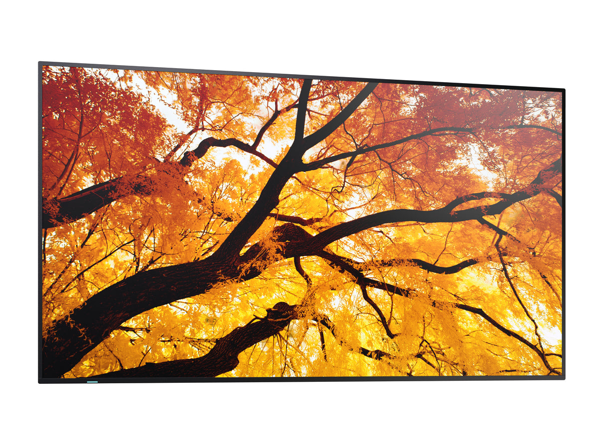 Sharp MultiSync M552 PN-M552 Écran UHD 4K de 55 pouces