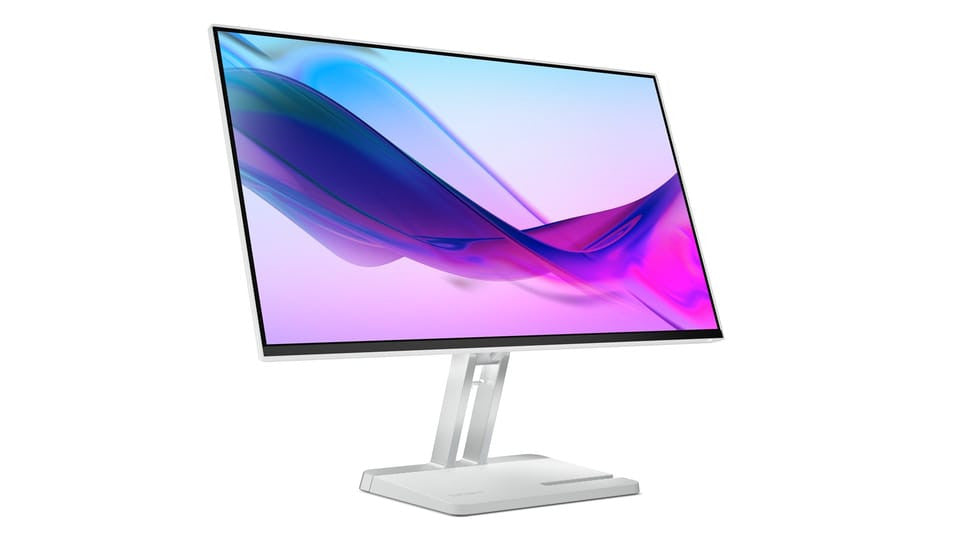 LENOVO Moniteur L24I-4A 24" LED gris 67BCKAC6EU